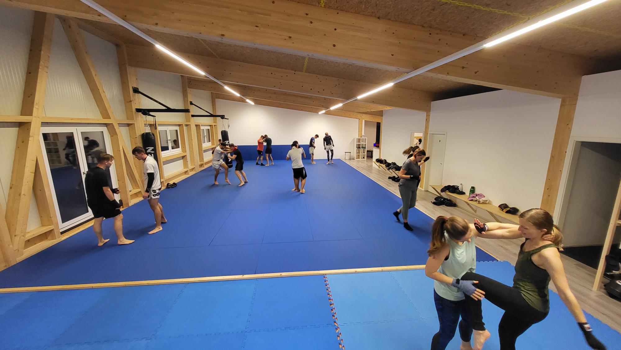 Muay Thai - Thaikickboxen - Frauen-Kickboxen - Boxen - -MMA - BJJ